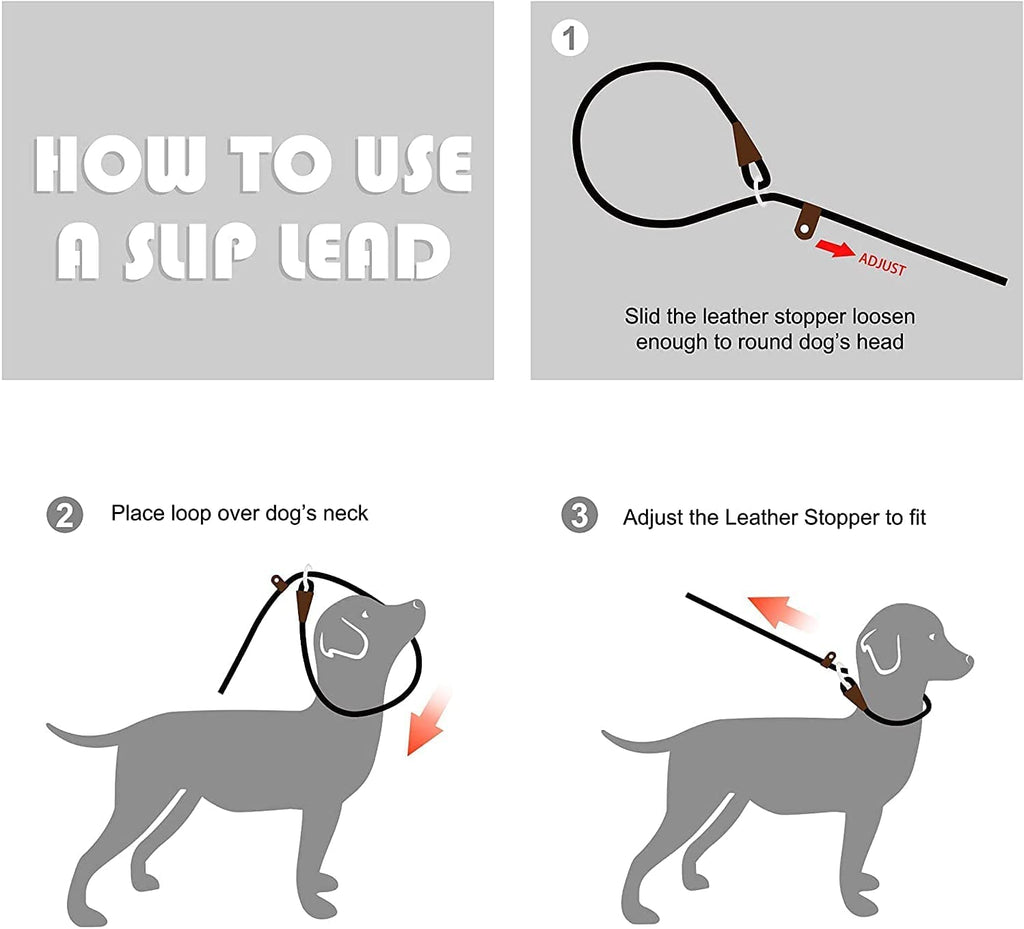 Fida Slip Lead for Dogs | 1.8m, One-Size-Fits-All, Slip-On Rope Leash. Easy to Slip On, No Collar or Harness Needed. Durable & Weather Resistant Climbers Rope with Reflective Stitching (Green)
