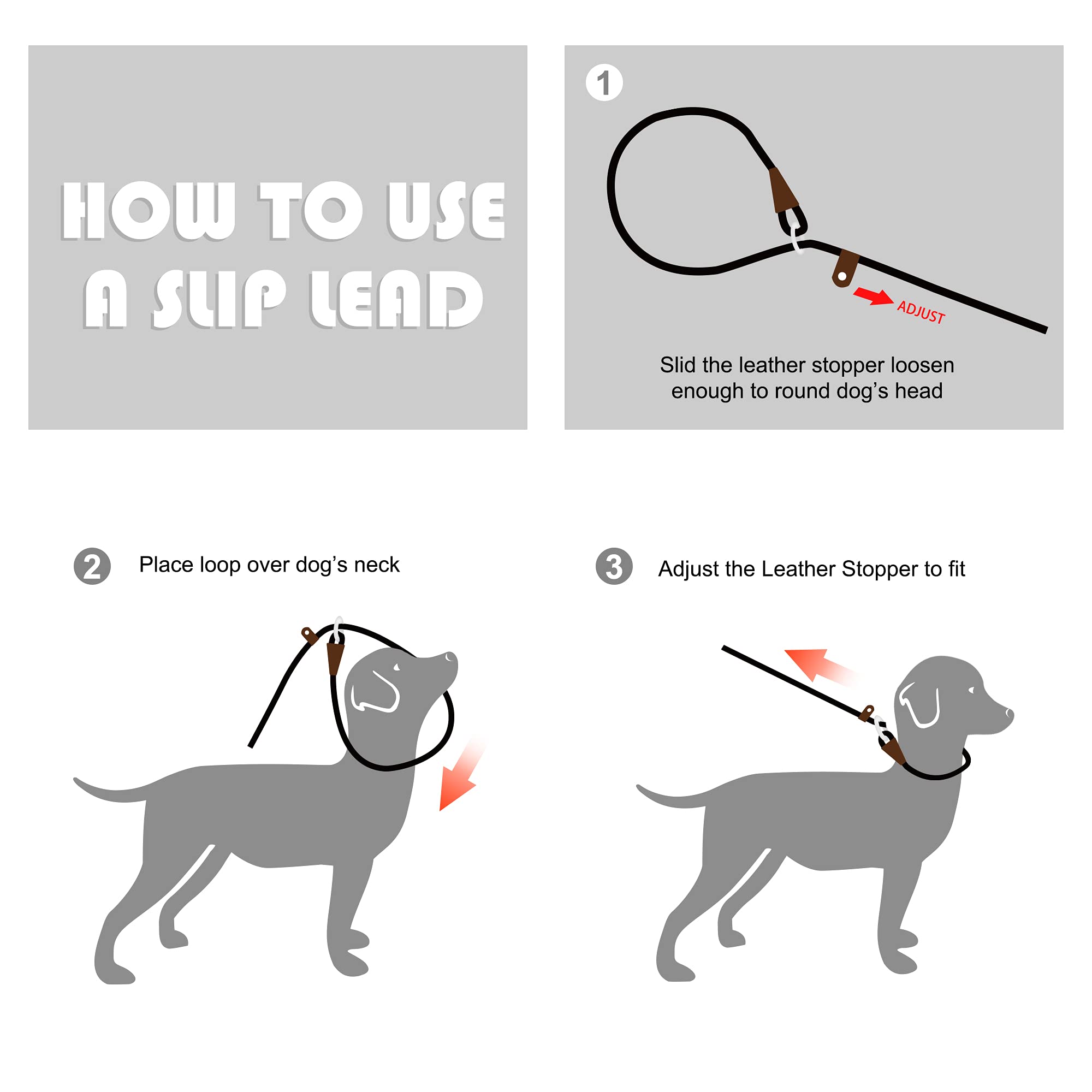 Fida Slip Lead for Dogs | 1.8m, One-Size-Fits-All, Slip-On Rope Leash. Easy to Slip On, No Collar or Harness Needed. Durable & Weather Resistant Climbers Rope with Reflective Stitching (Green)