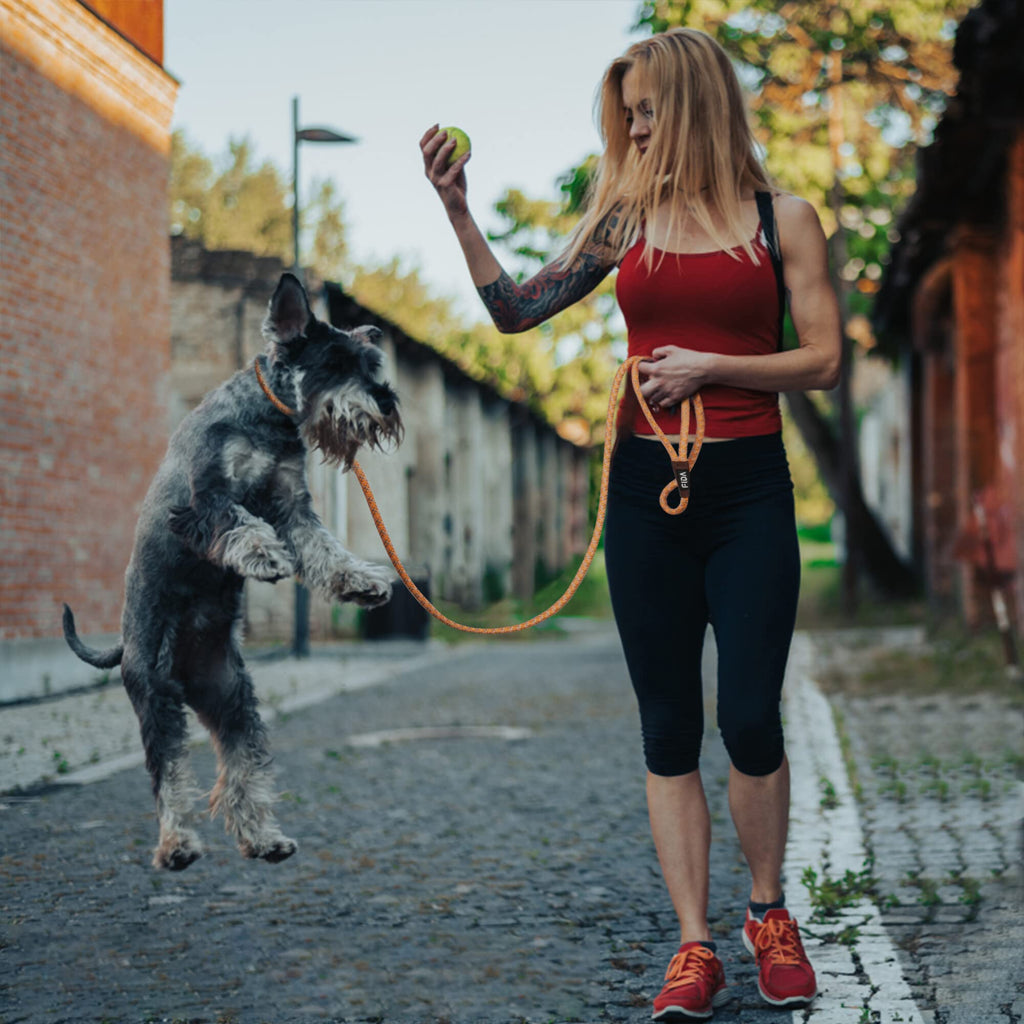 Fida Slip Lead for Dogs | 1.8m, One-Size-Fits-All, Slip-On Rope Leash. Easy to Slip On, No Collar or Harness Needed. Durable & Weather Resistant Climbers Rope with Reflective Stitching (Green)