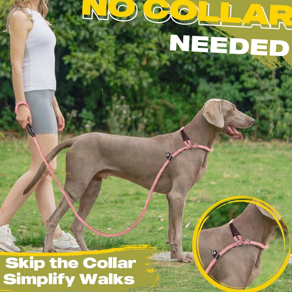 Fida Slip Lead for Dogs | 1.8m, One-Size-Fits-All, Slip-On Rope Leash. Easy to Slip On, No Collar or Harness Needed. Durable & Weather Resistant Climbers Rope with Reflective Stitching (Green)