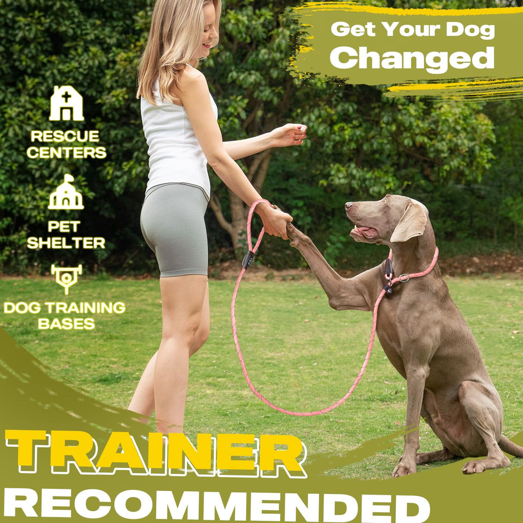 Fida Slip Lead for Dogs | 1.8m, One-Size-Fits-All, Slip-On Rope Leash. Easy to Slip On, No Collar or Harness Needed. Durable & Weather Resistant Climbers Rope with Reflective Stitching (Green)