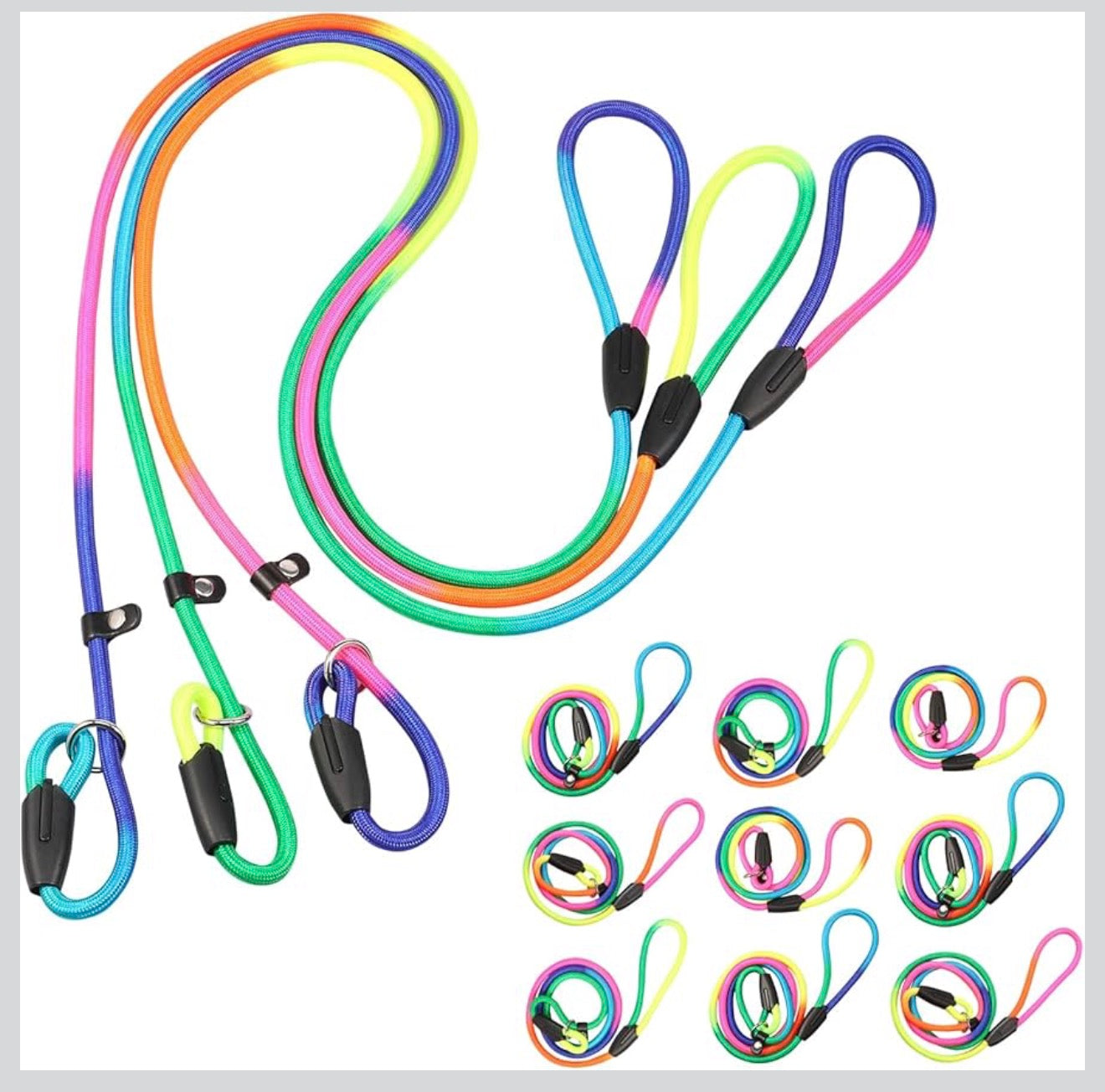 Dog Slip Lead Leash. Dog Training Lead
