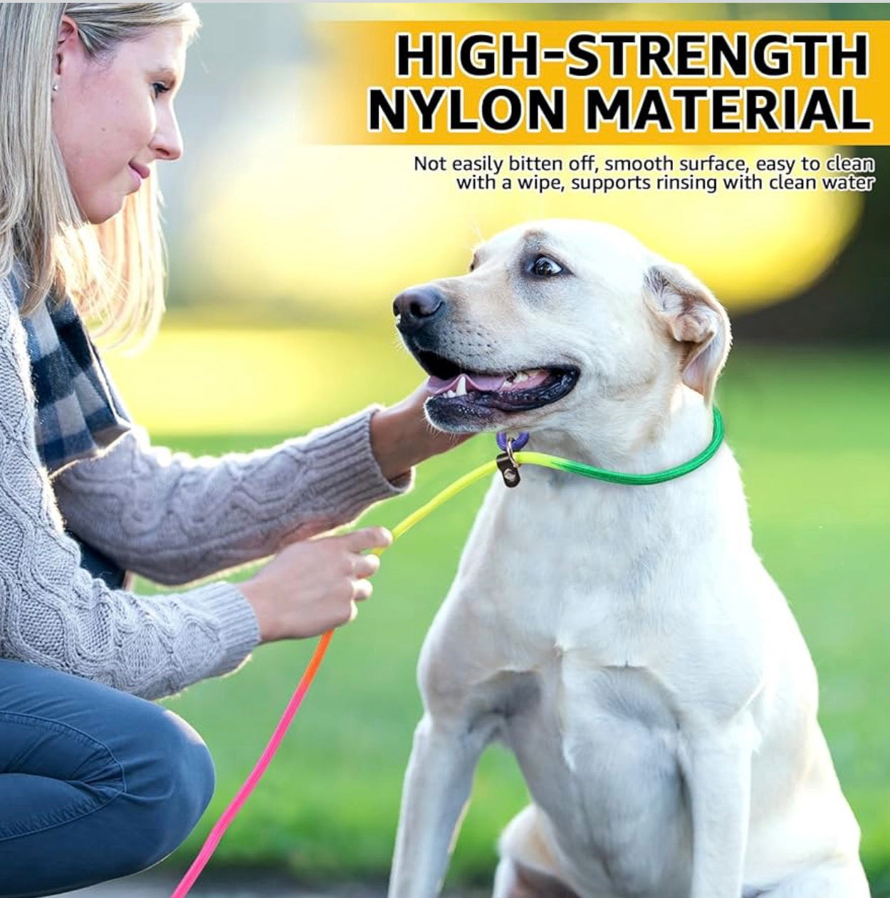 Dog Slip Lead Leash. Dog Training Lead