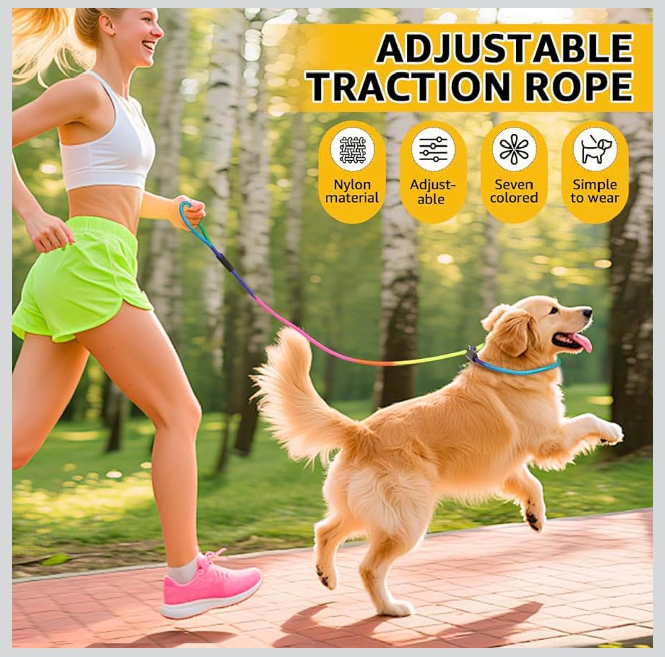 Dog Slip Lead Leash. Dog Training Lead