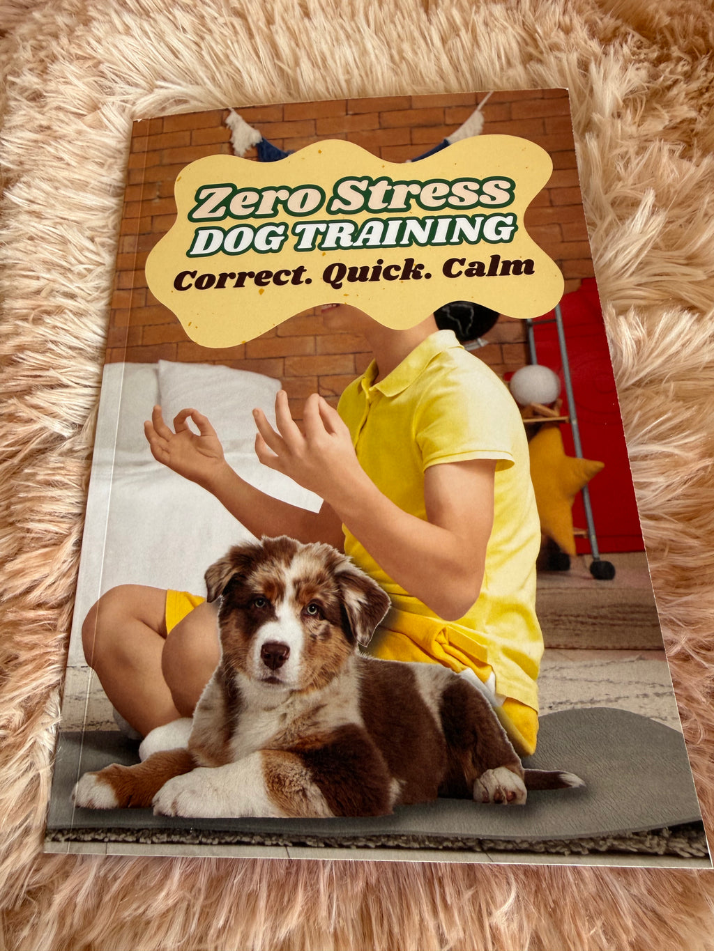 Zero Stress Dog Training: Correct, Quick & Kind Paperback Book