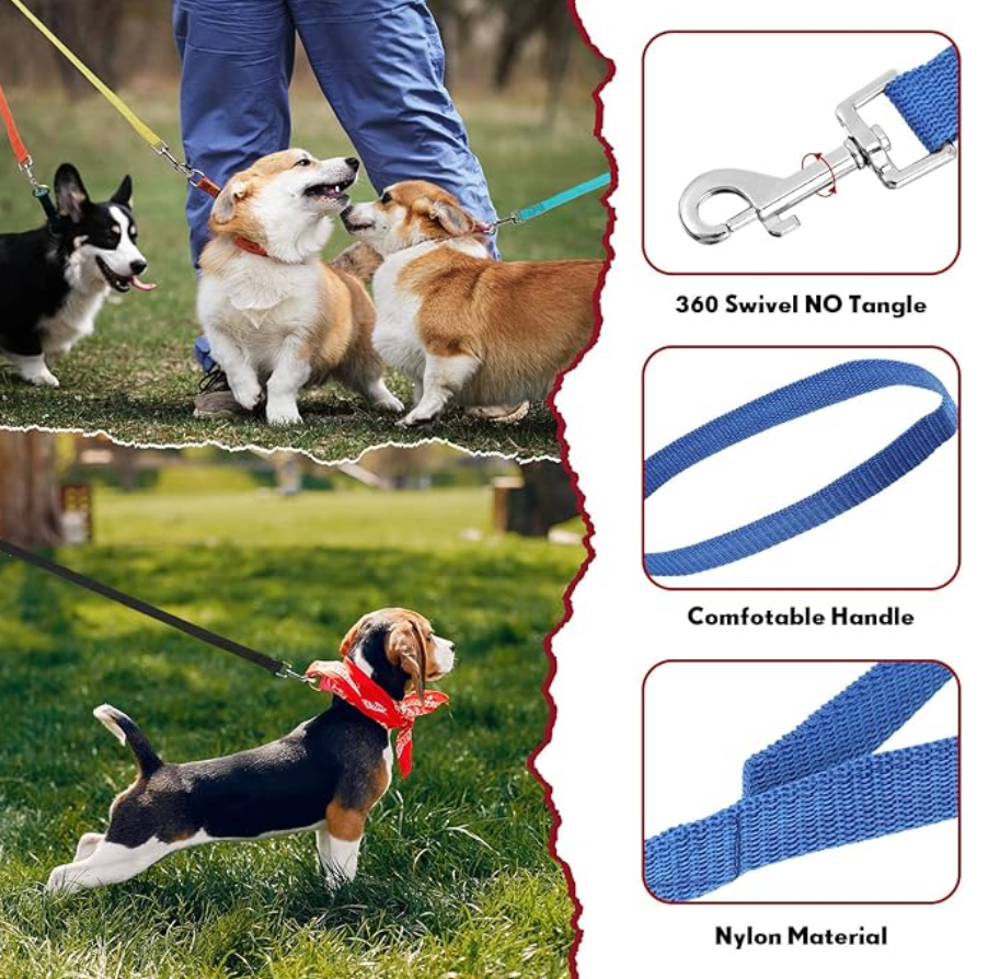 Dog Leads. Bright Colours. Durable and Reliable