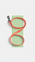 Nylon Training Lead With Quick-Grab Loop